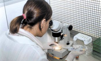 Mestrado em Ciência Animal é voltado para diversas áreas